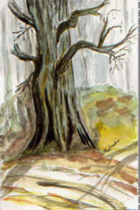 Old Tree painting